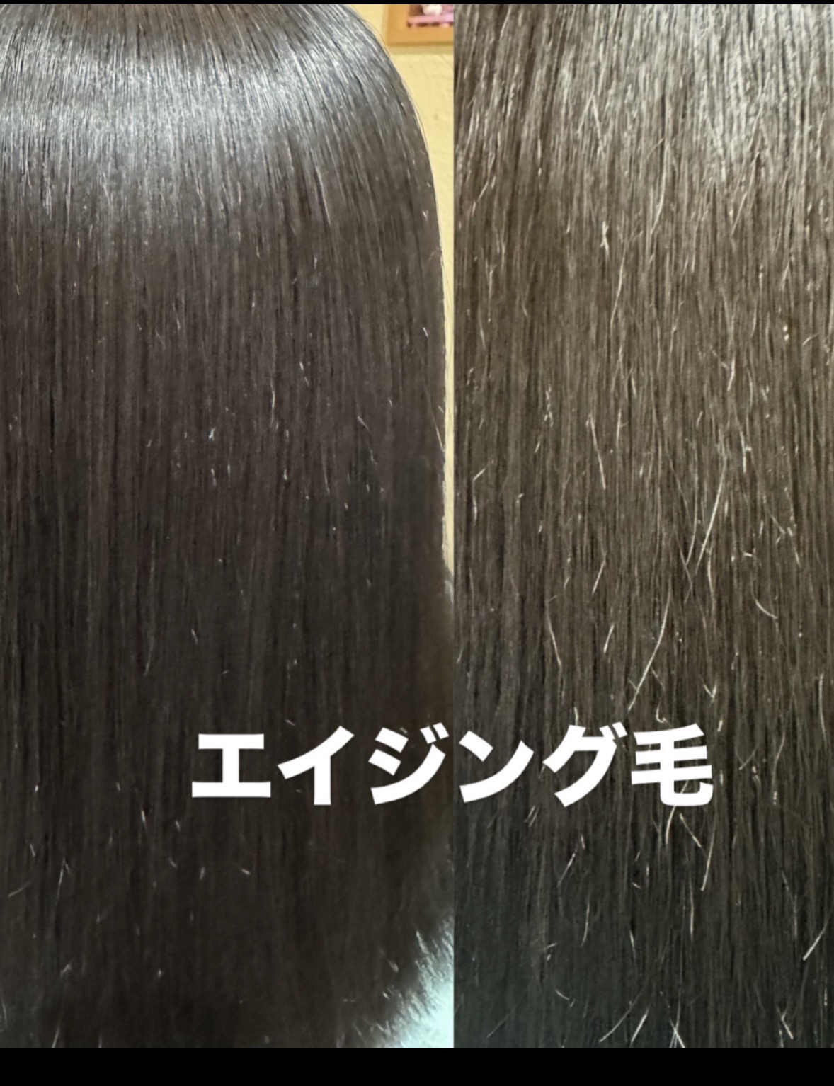 毛先のビビり毛改善の画像
