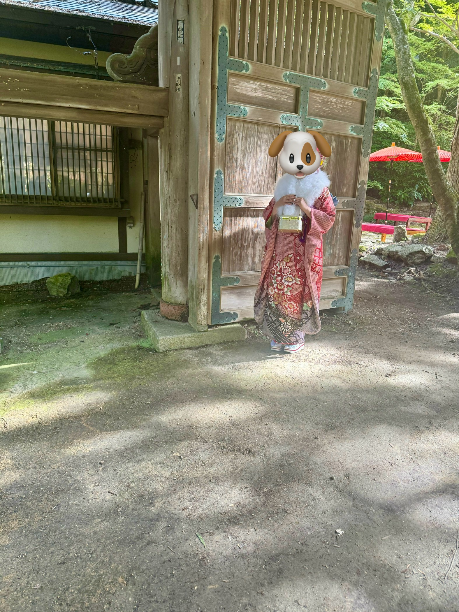 瑞宝寺の画像