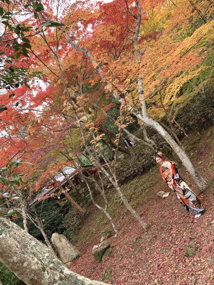 メニューの写真