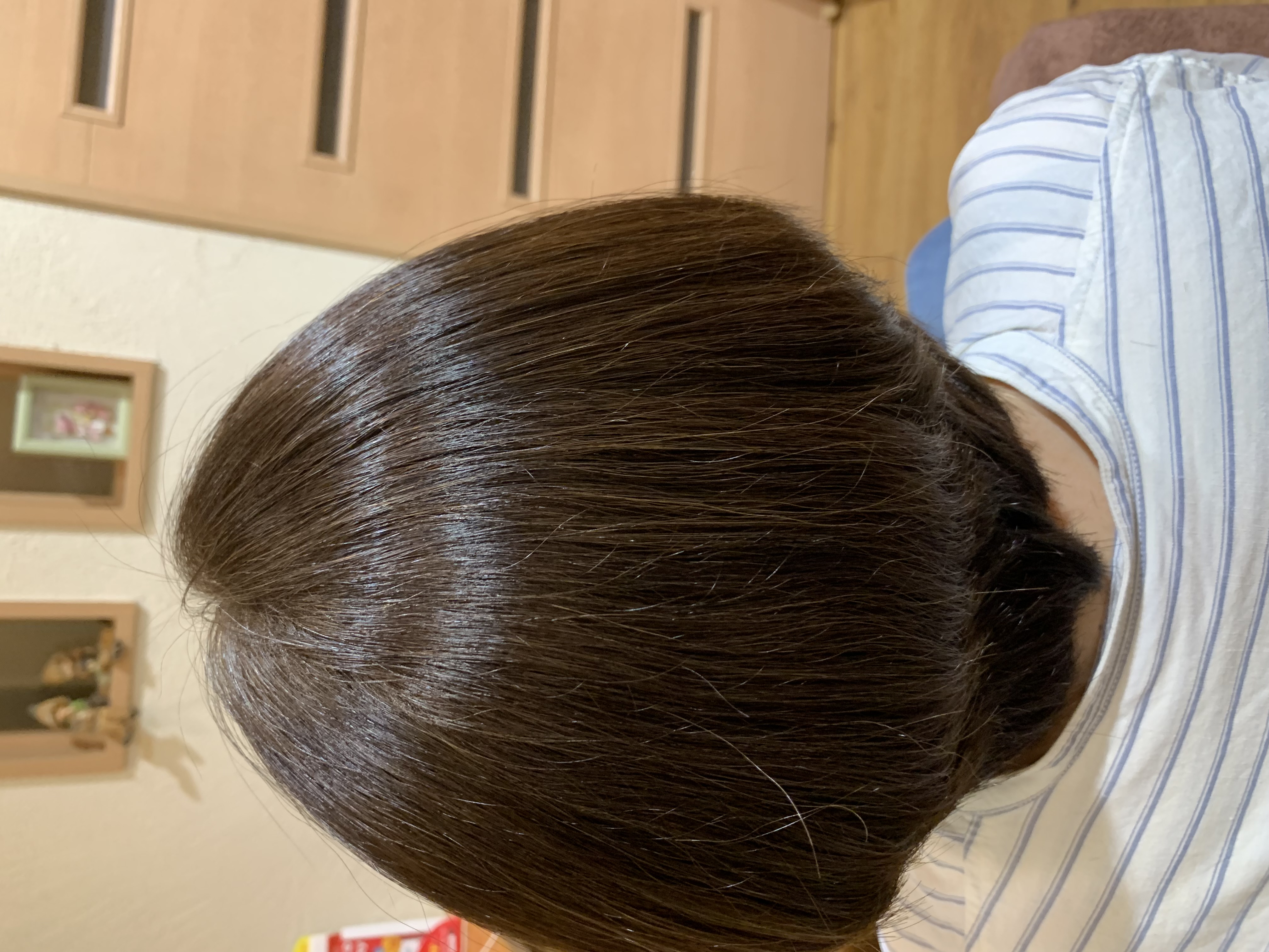 メニューの写真