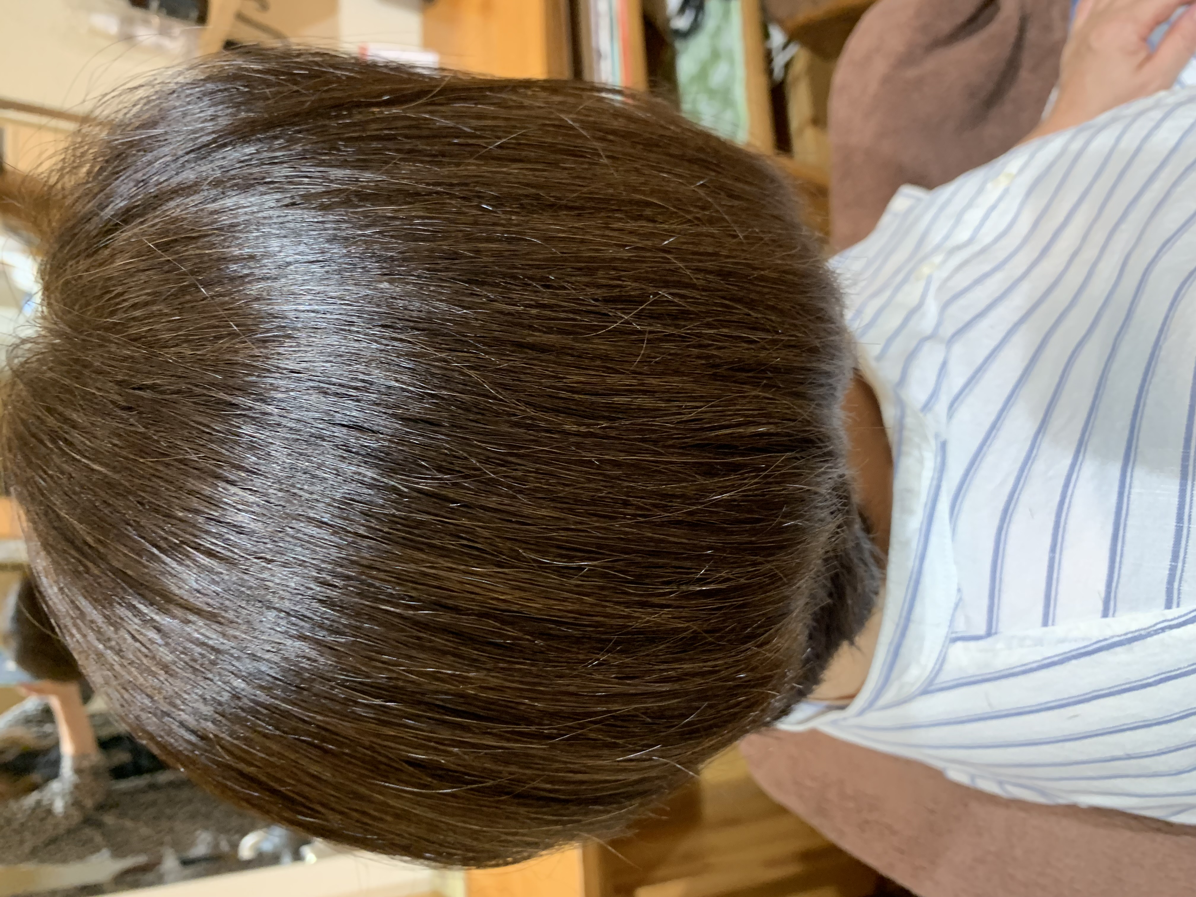 メニューの写真