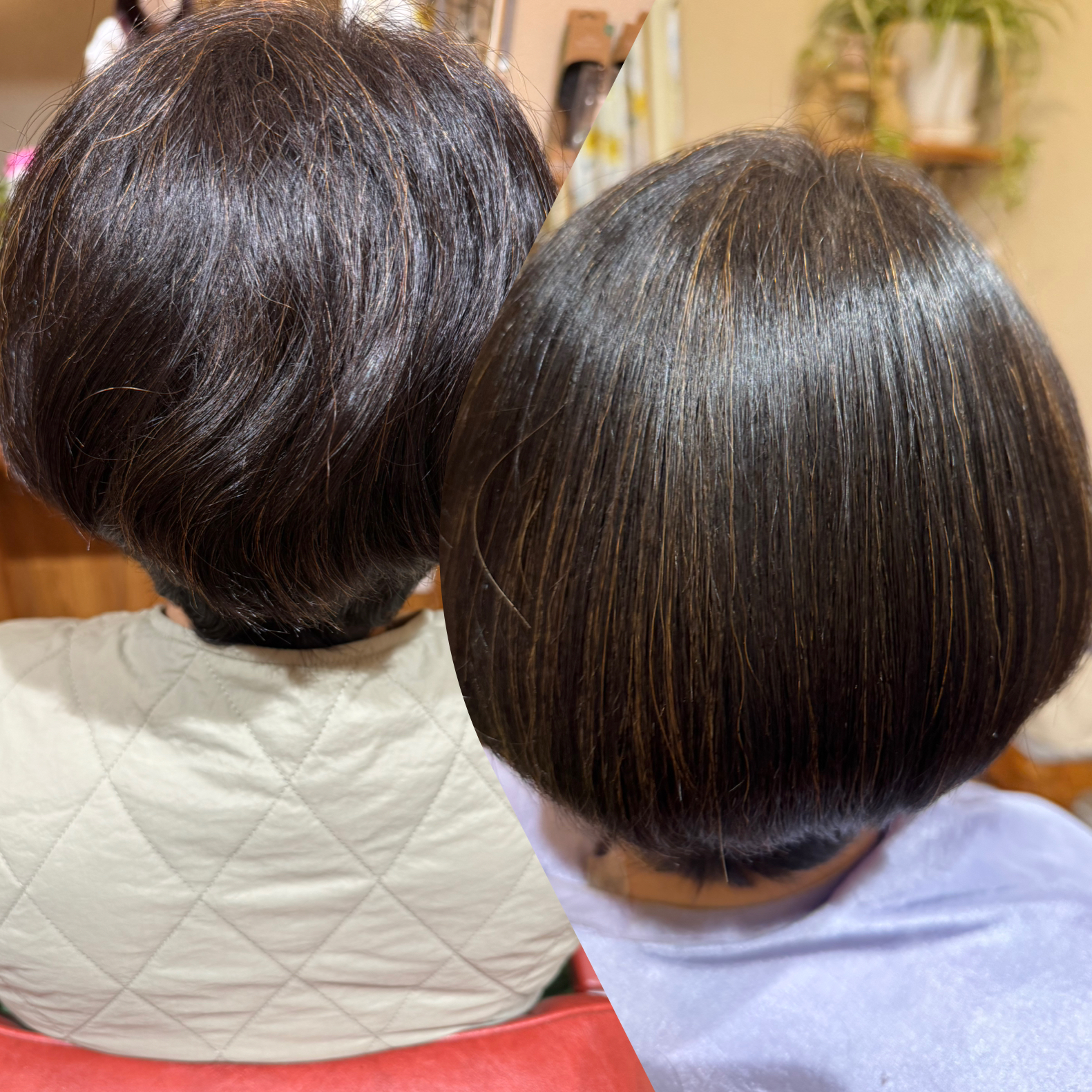 メニューの写真
