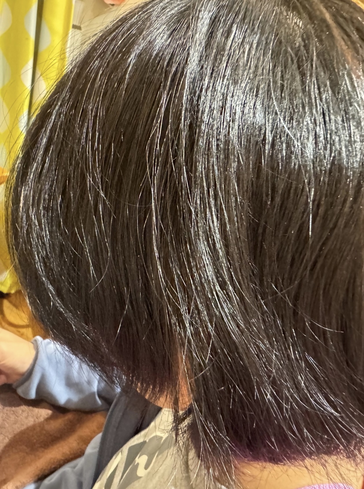メニューの写真
