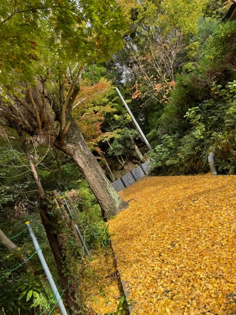 その他の写真