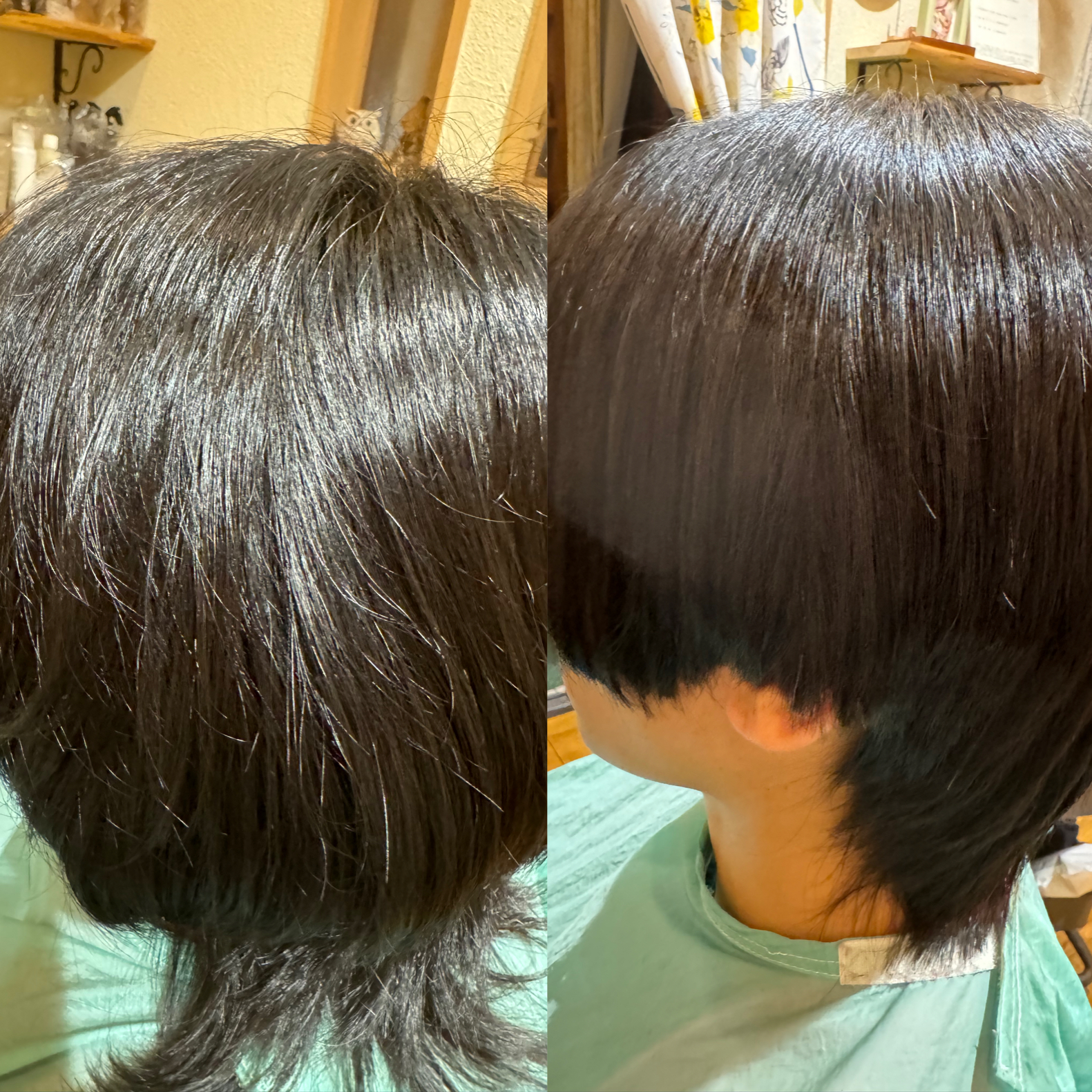メニューの写真