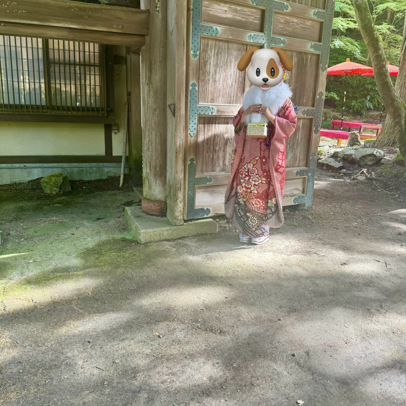 メニューの写真