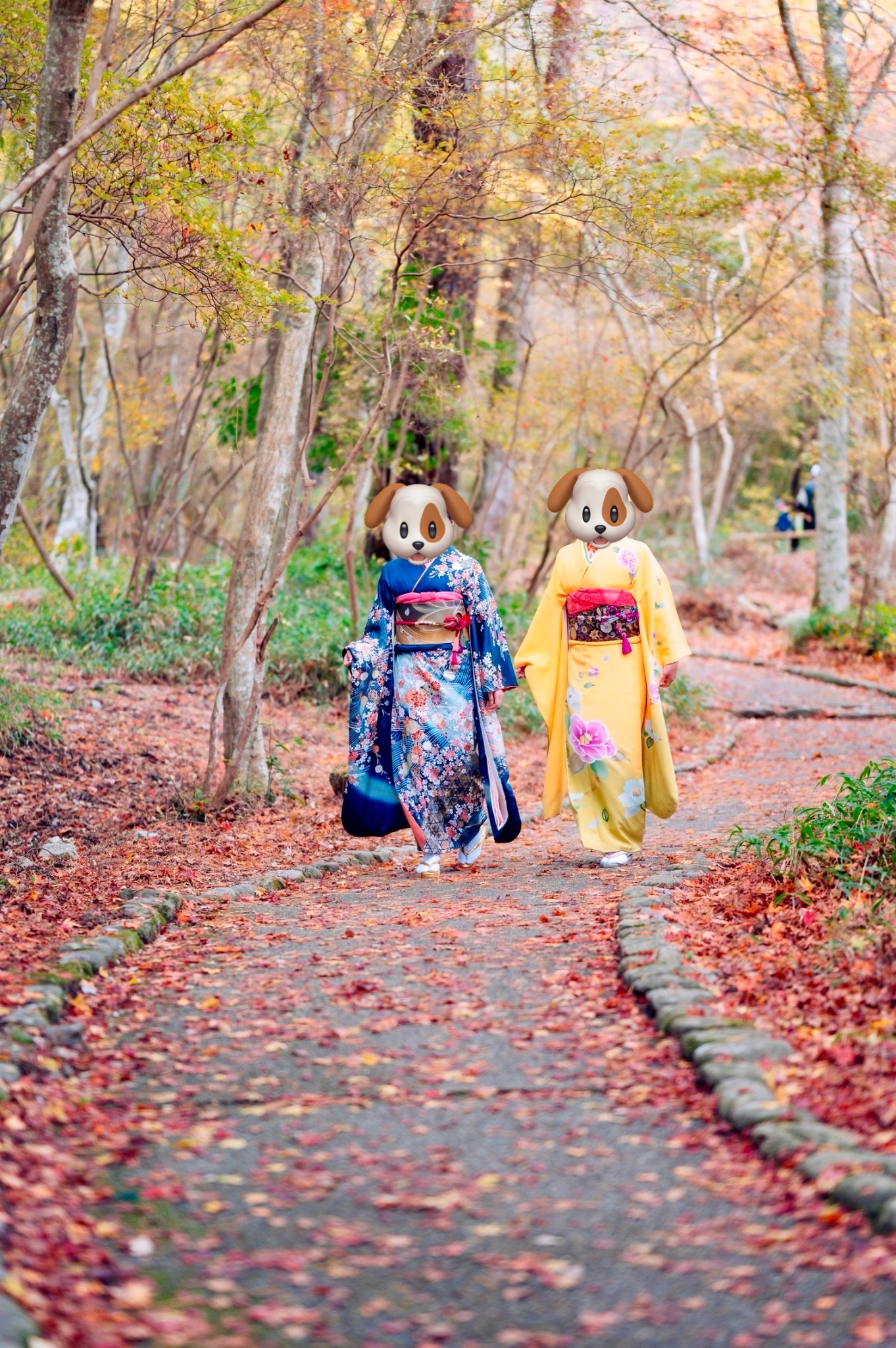 メニューの写真