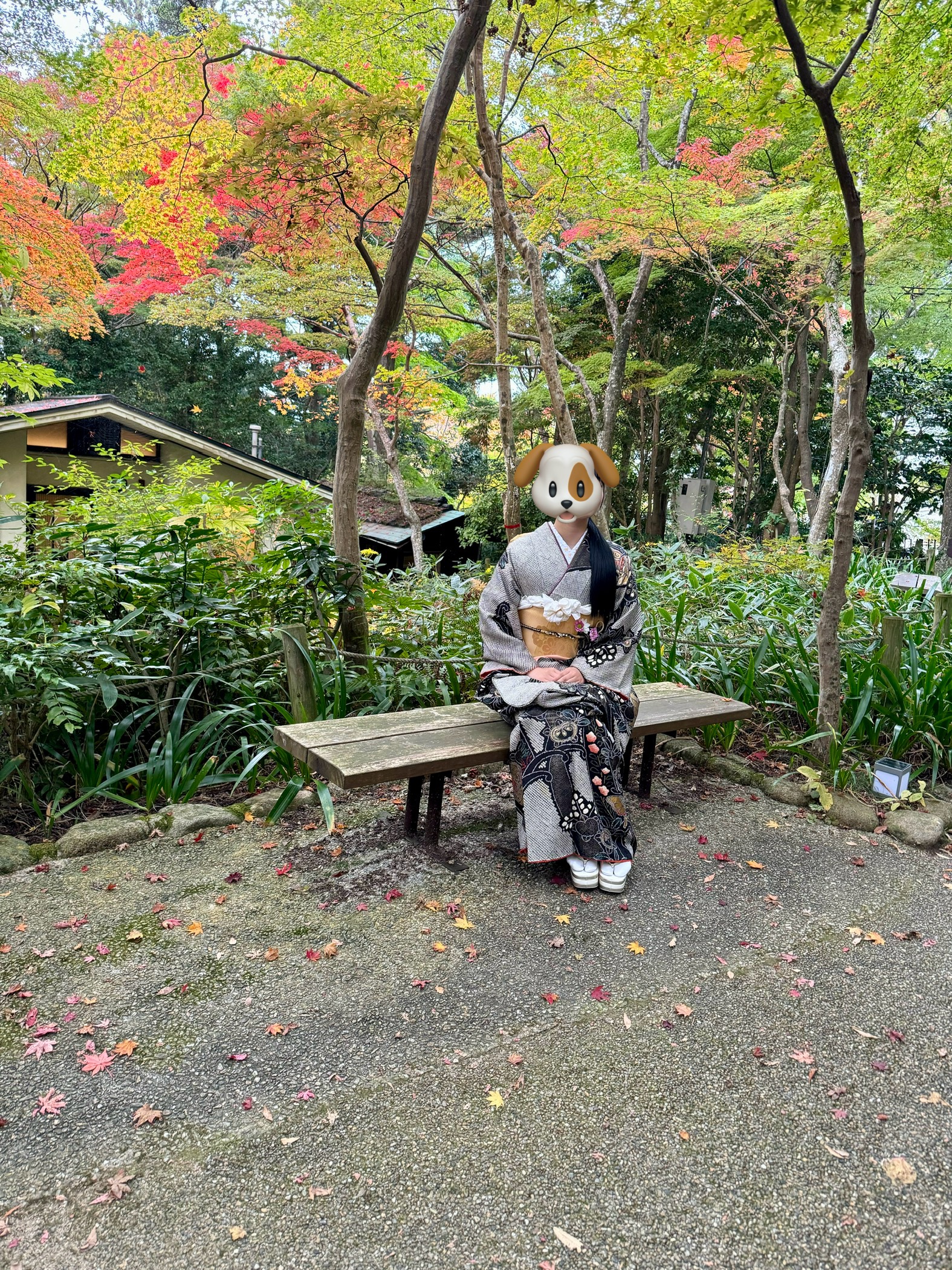 メニューの写真