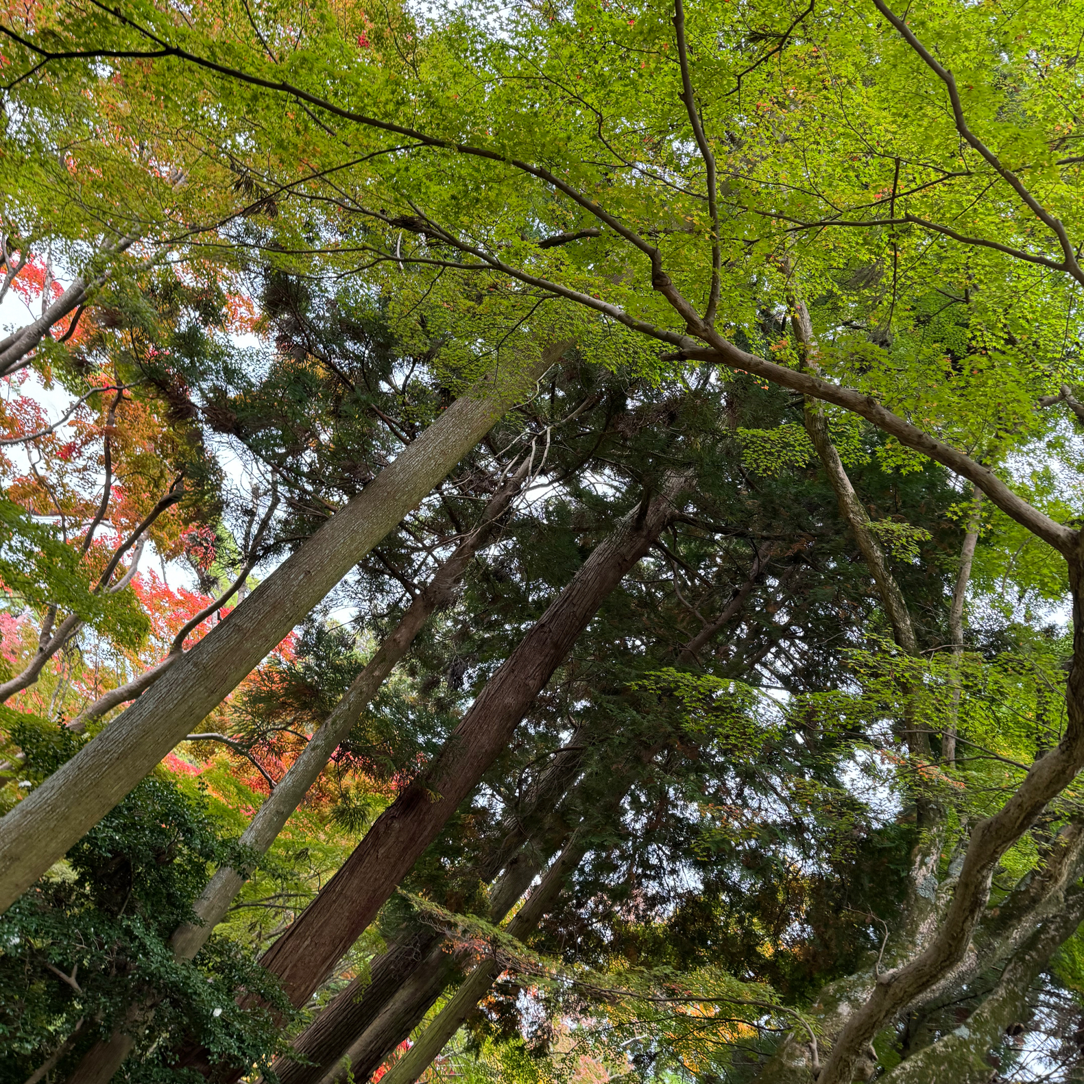 その他の写真