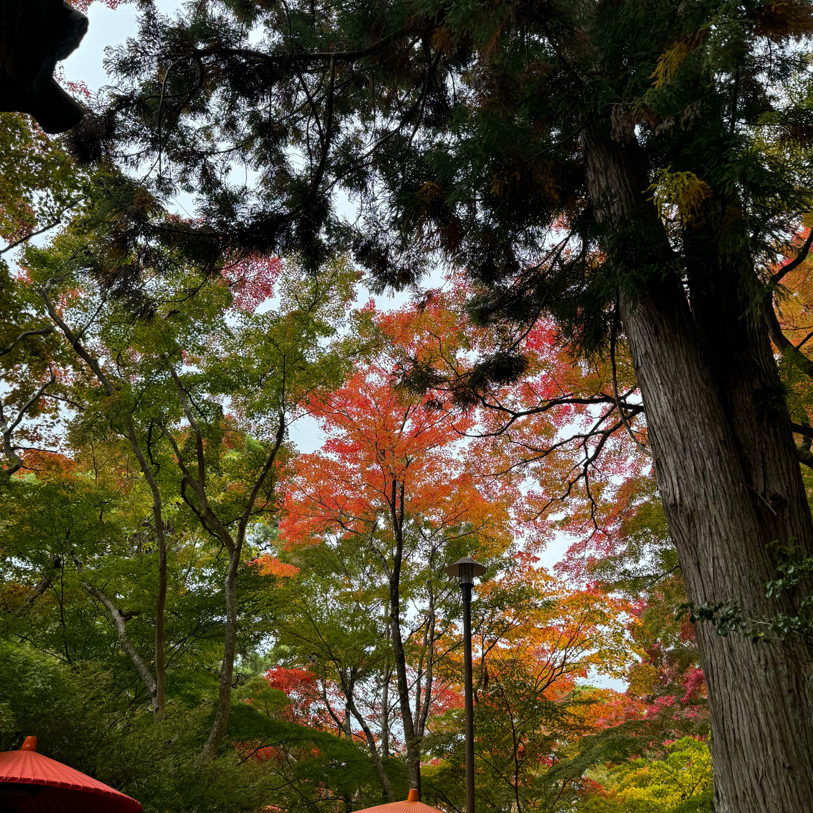 その他の写真