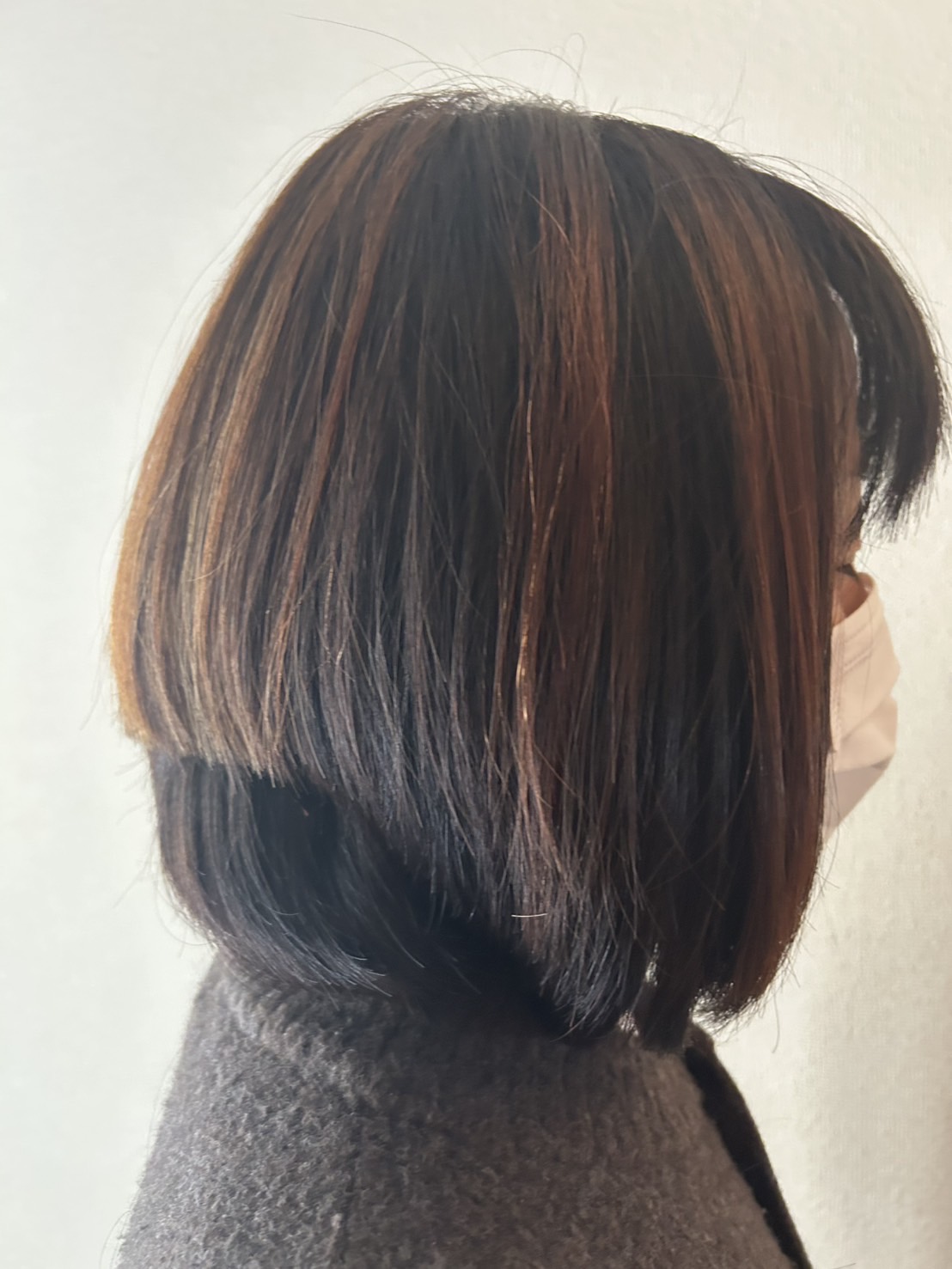 メニューの写真
