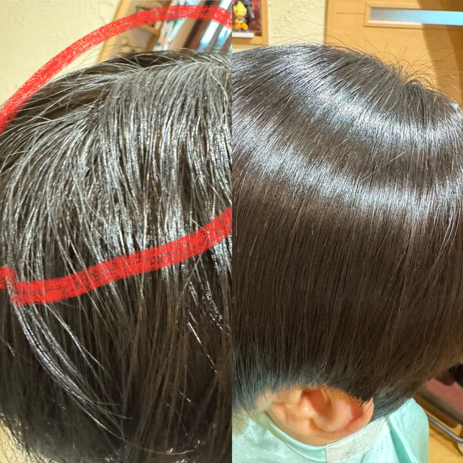 メニューの写真