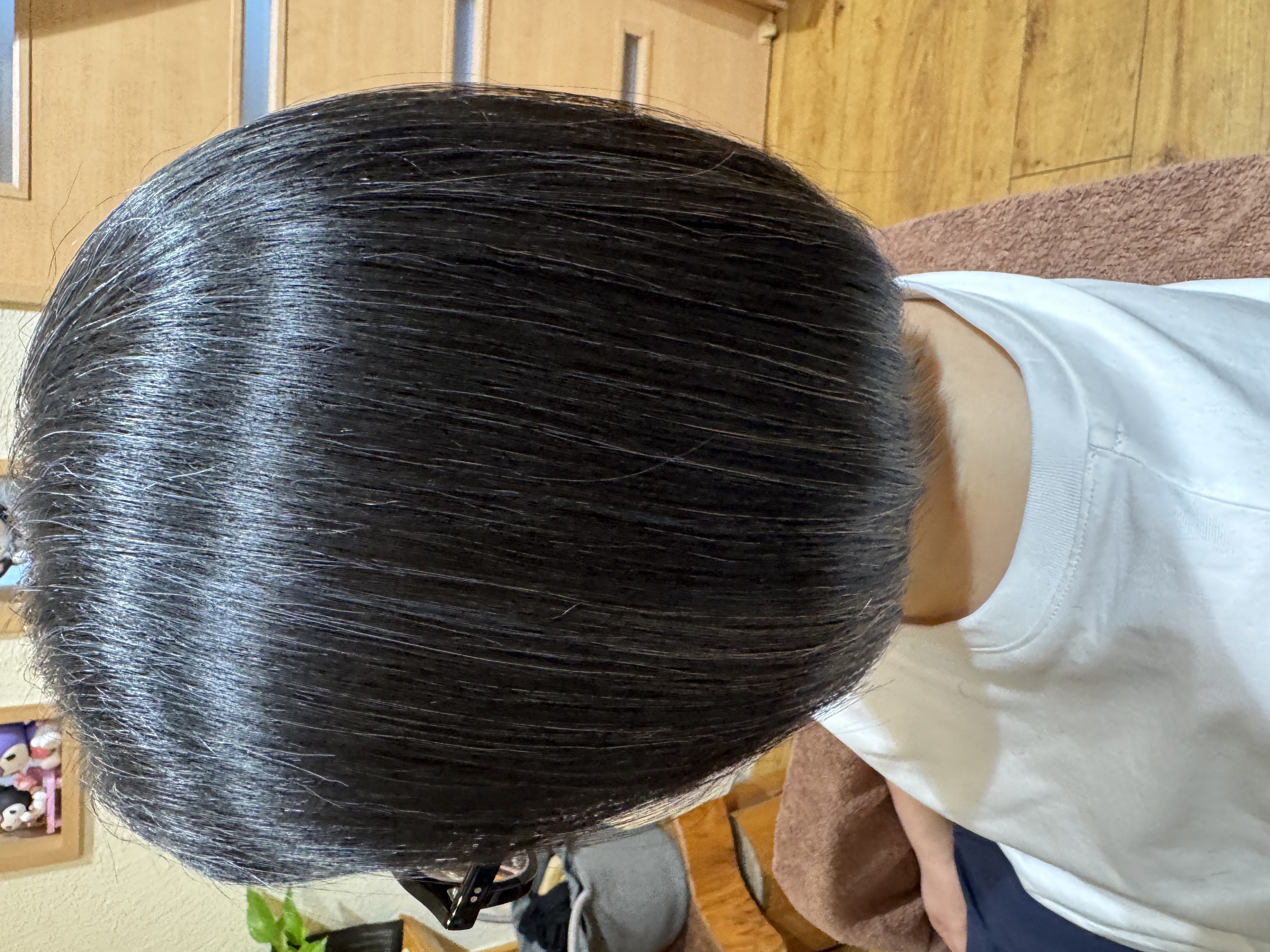 メニューの写真