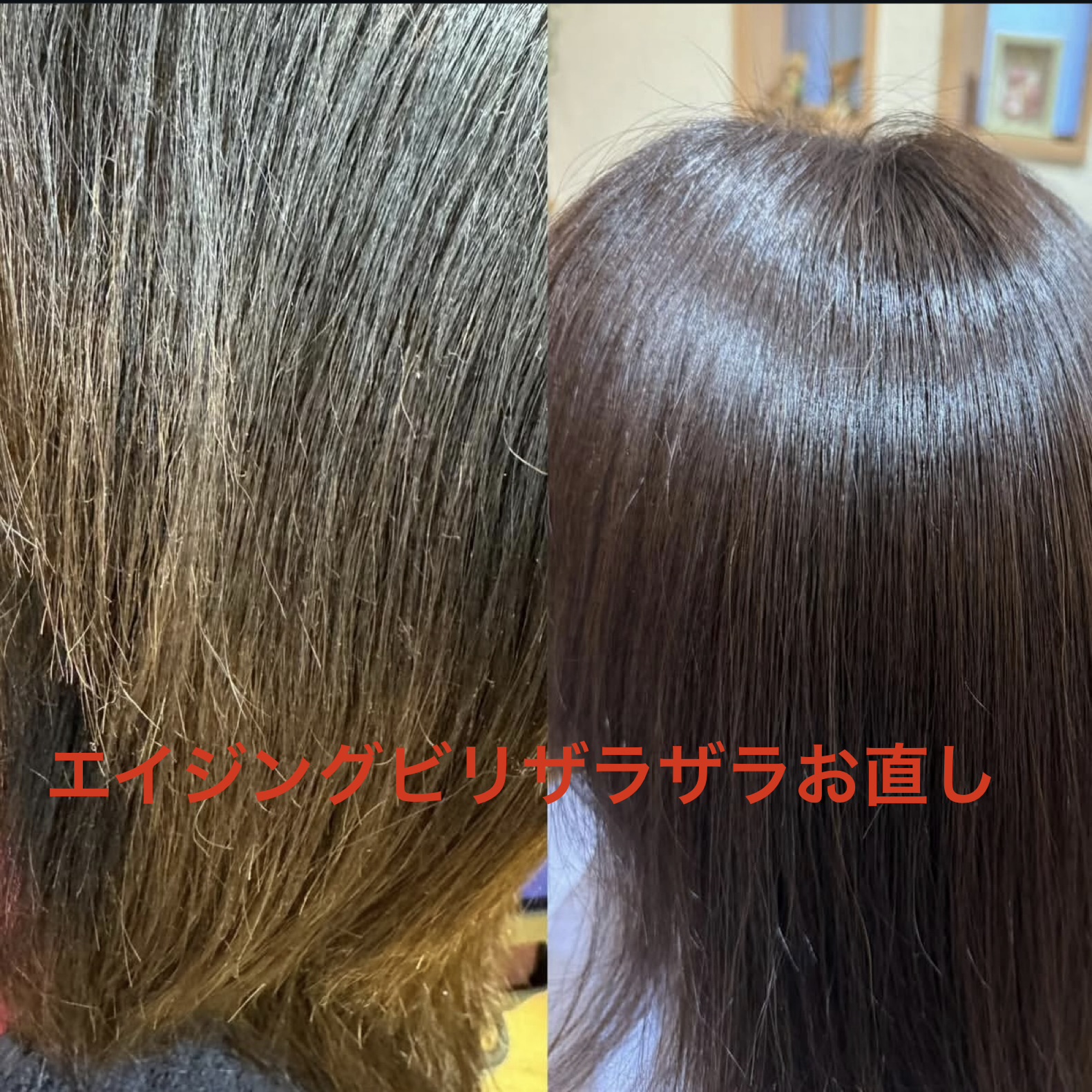 メニューの写真