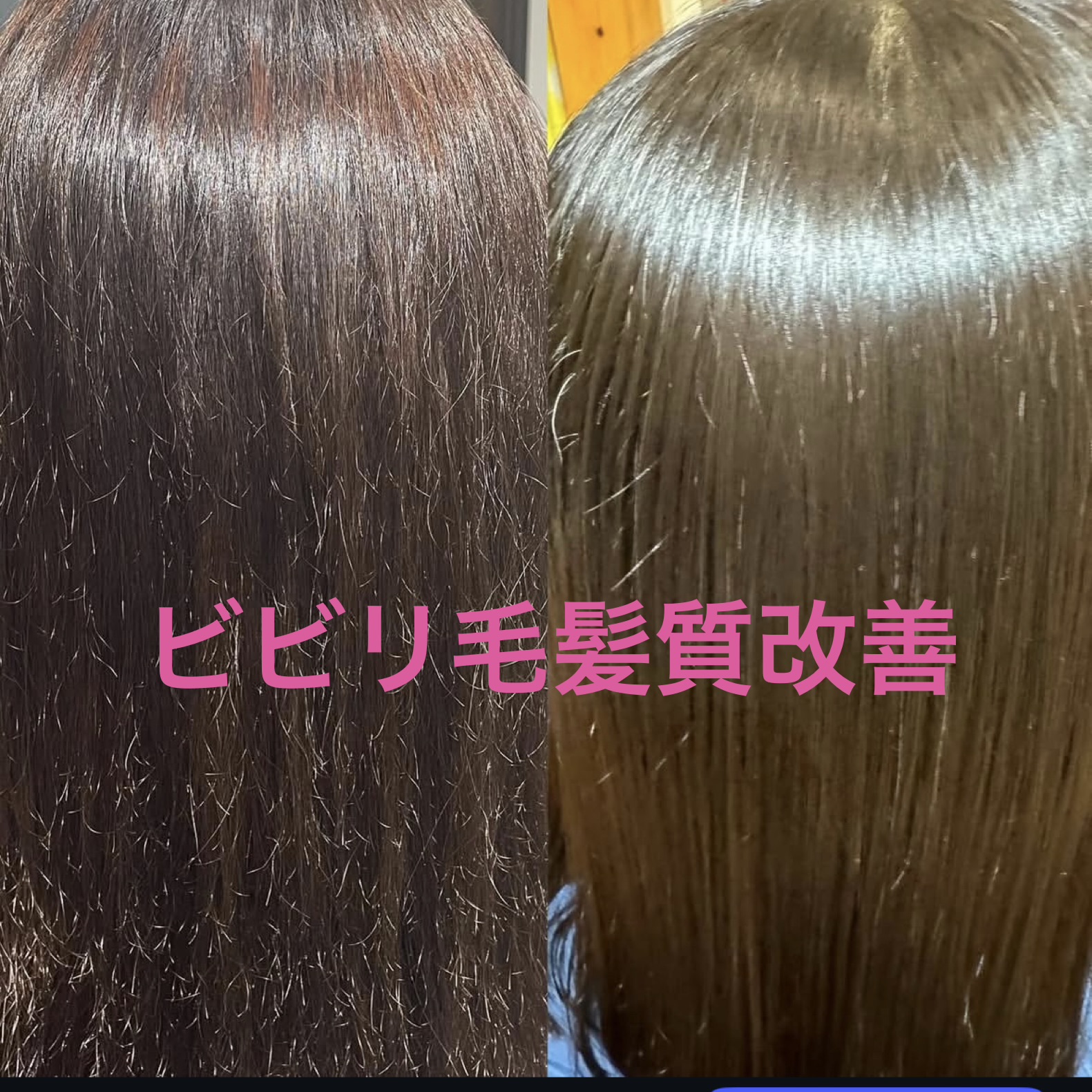 メニューの写真