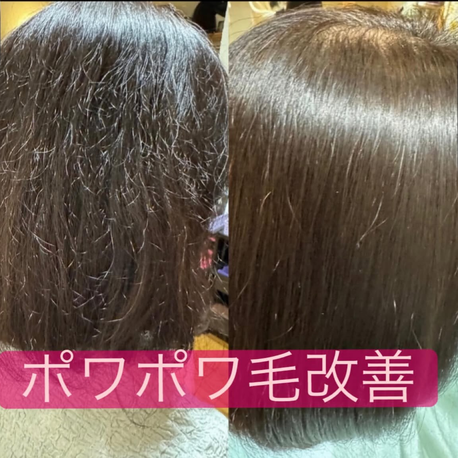 メニューの写真
