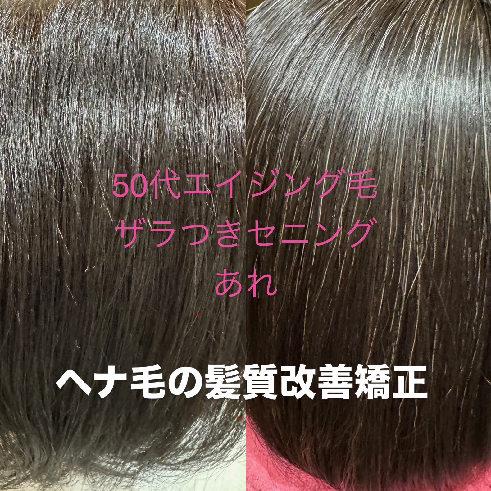 メニューの写真