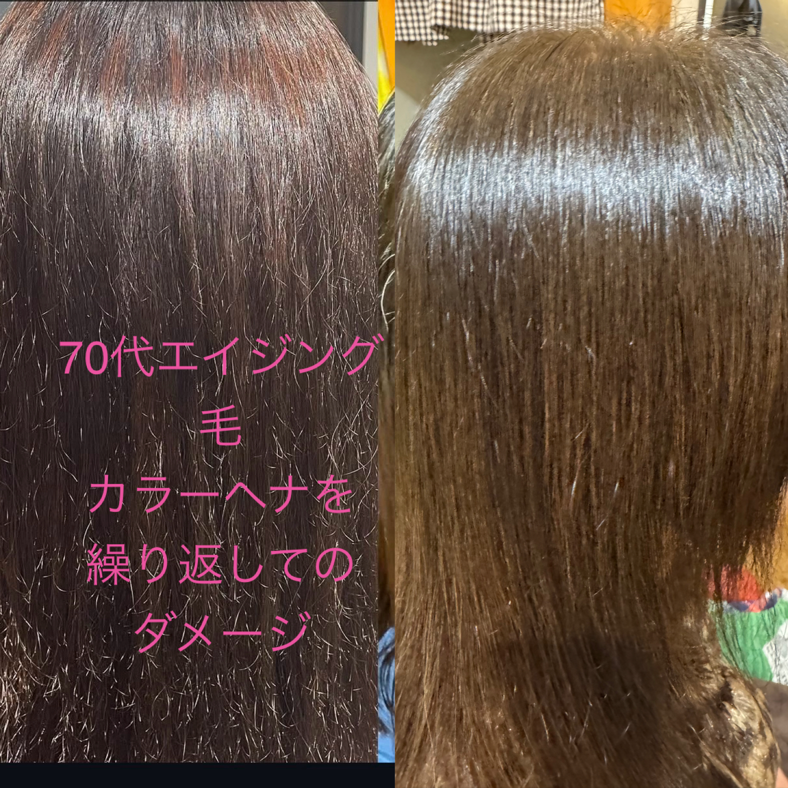 メニューの写真